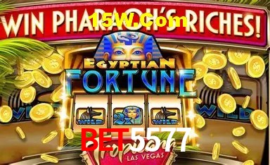 Experiência VIP Bet5577