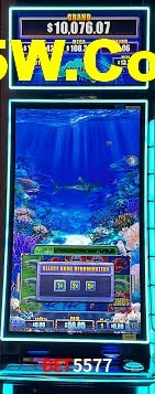 Game Providers Bet5577